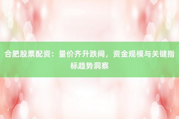 合肥股票配资：量价齐升跌间，资金规模与关键指标趋势洞察