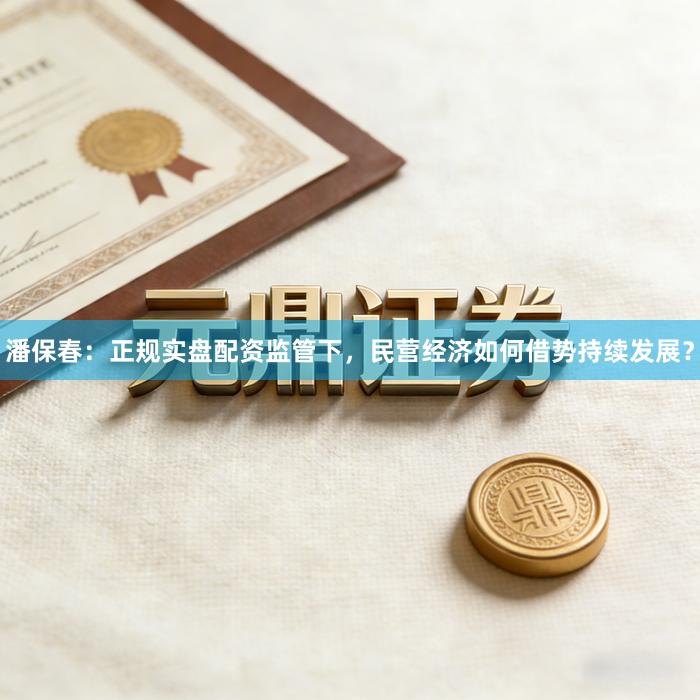 潘保春：正规实盘配资监管下，民营经济如何借势持续发展？