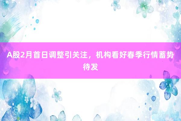 A股2月首日调整引关注，机构看好春季行情蓄势待发