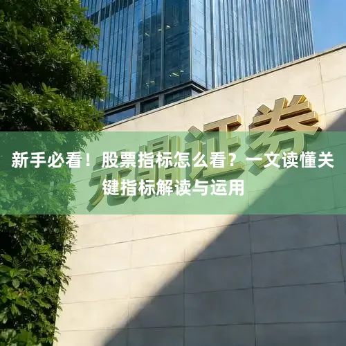 新手必看!股票指标怎么看?一文读懂关键指标解读与运用