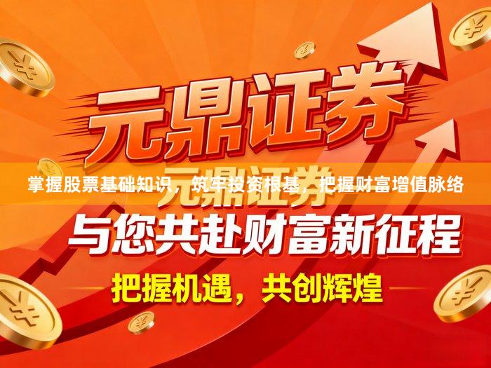 掌握股票基础知识，筑牢投资根基，把握财富增值脉络